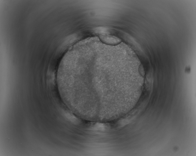 X0000101430330200808041157