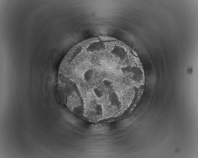 X0000101430331200808041157