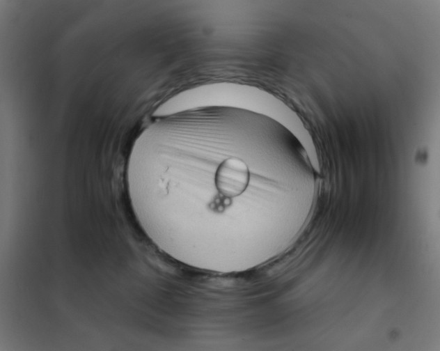 X0000101430332200808041157