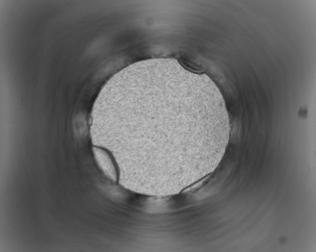 X0000101430335200808041157