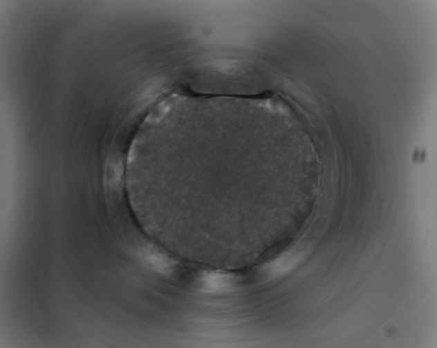 X0000101430336200808041157