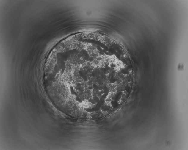 X0000101430337200808041156