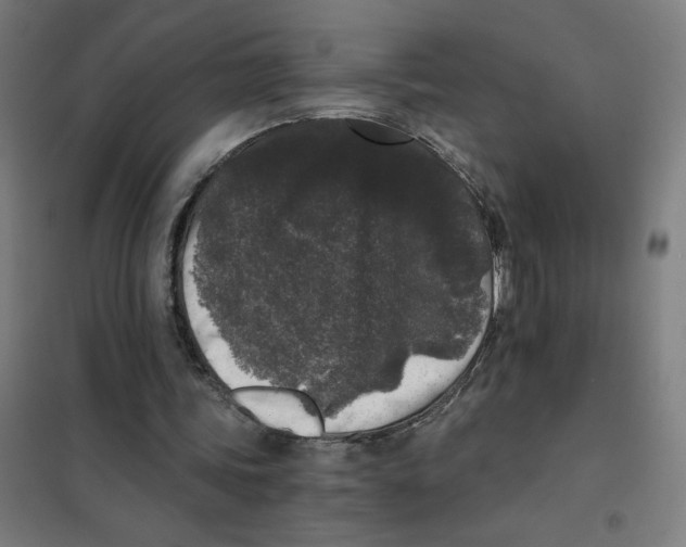 X0000101430339200808041156