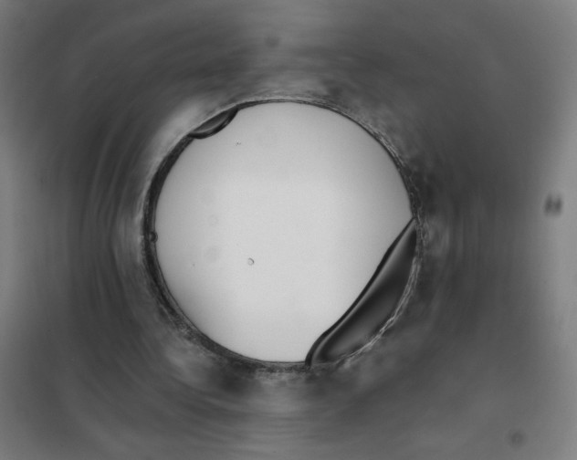 X0000101430340200808041156