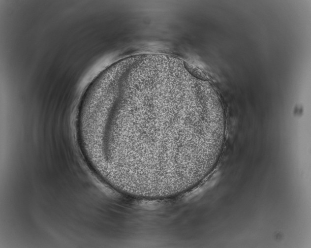 X0000101430341200808041156