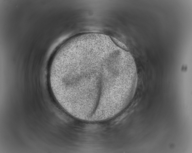 X0000101430342200808041156