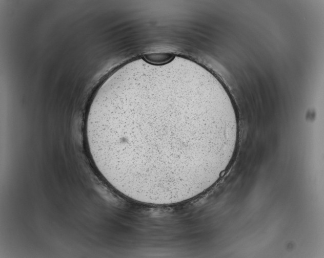 X0000101430345200808041156