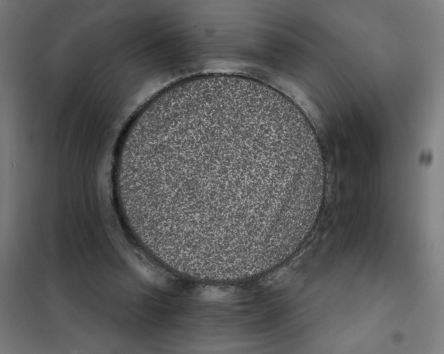 X0000101430346200808041156