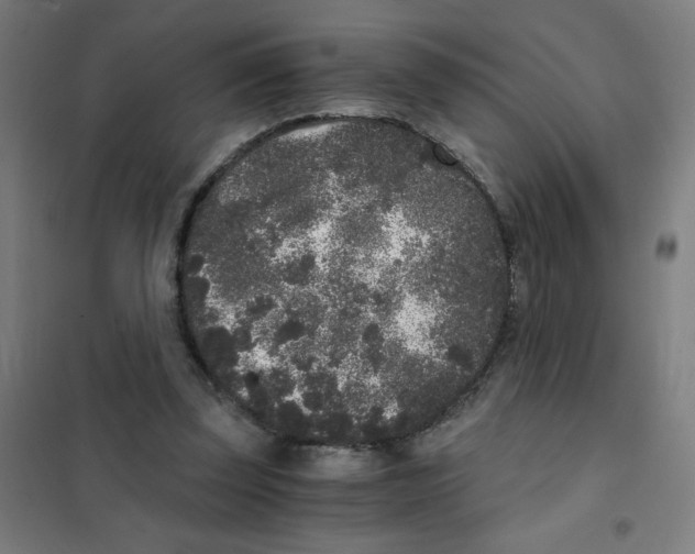 X0000101430347200808041156