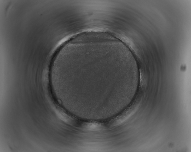 X0000101430348200808041156