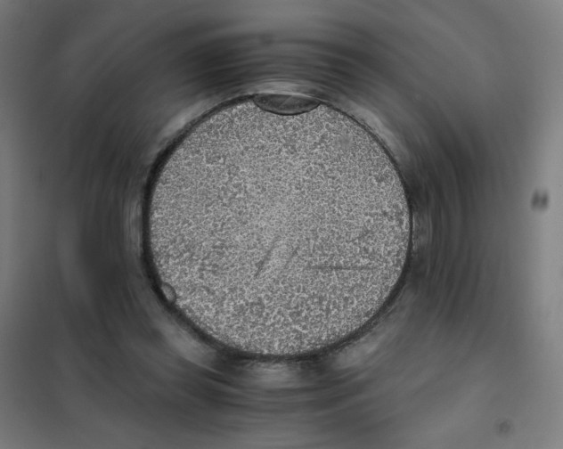 X0000101430349200808041156