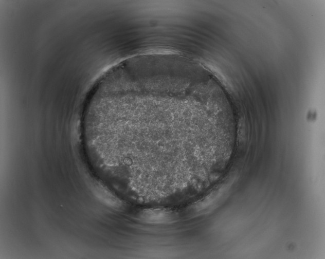 X0000101430351200808041156