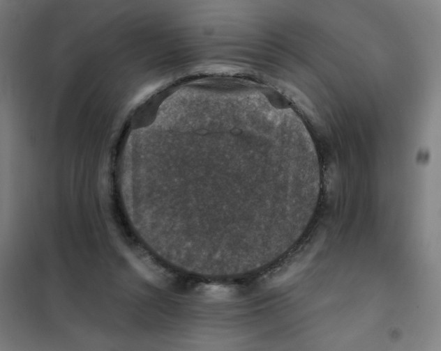 X0000101430352200808041156