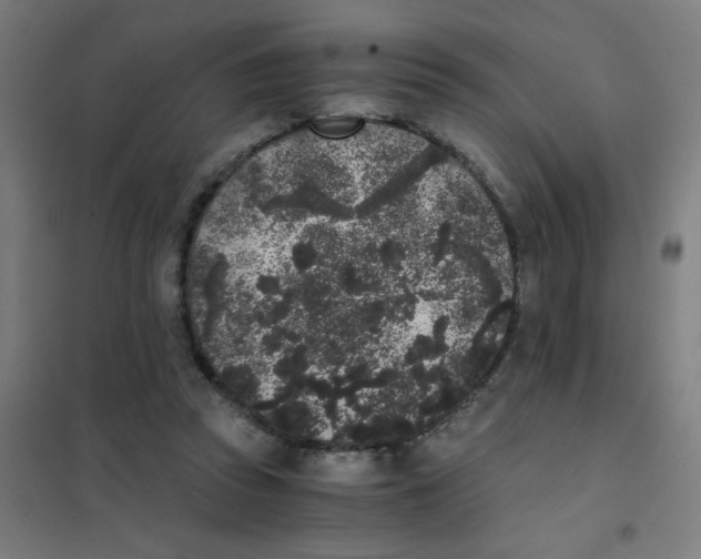 X0000101430353200808041156