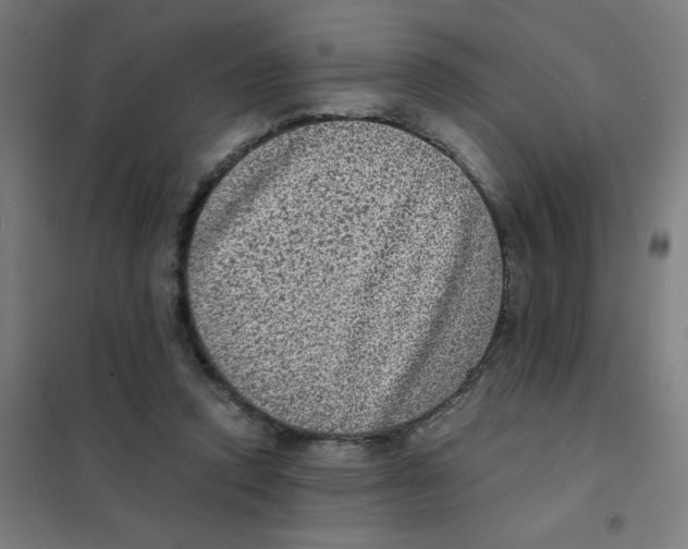 X0000101430354200808041156