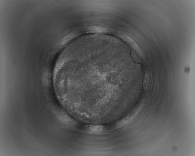 X0000101430355200808041156