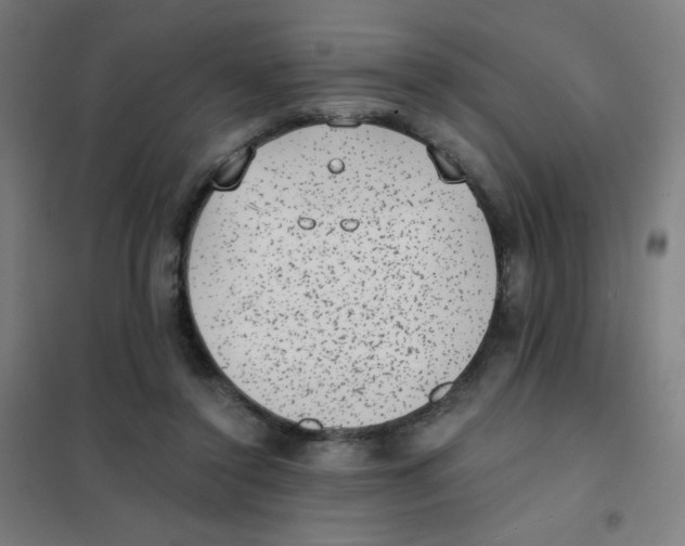 X0000101430356200808041156