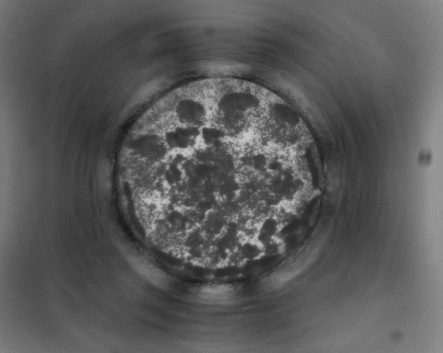 X0000101430357200808041156