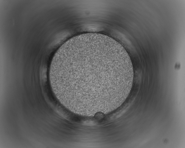 X0000101430358200808041156