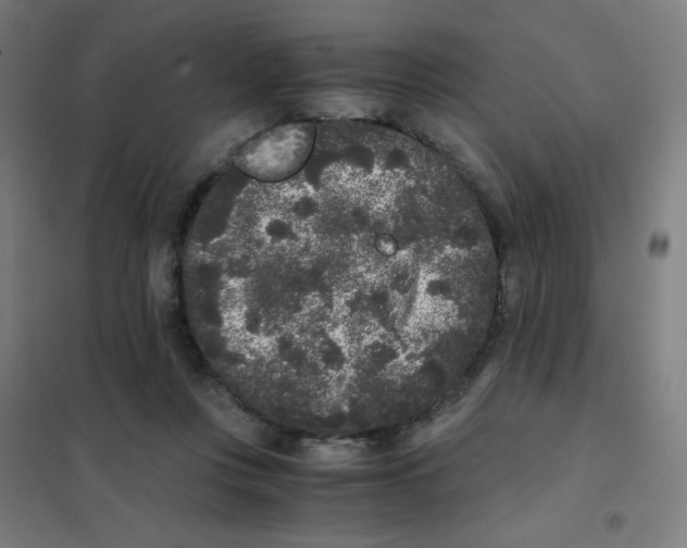 X0000101430359200808041156