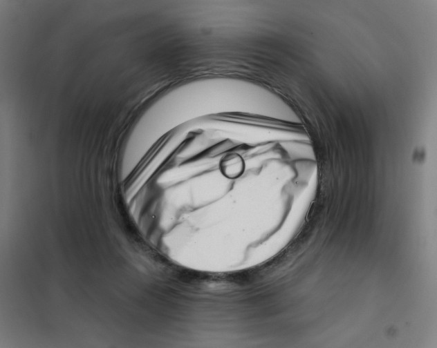 X0000101430360200808041156