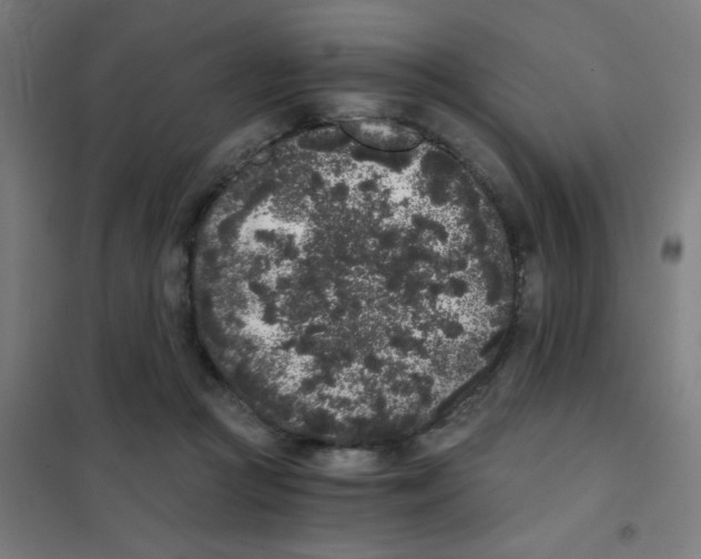 X0000101430361200808041156