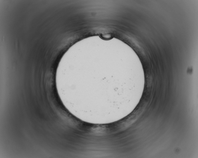 X0000101430362200808041156