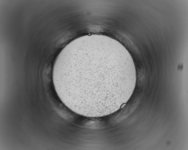 X0000101430364200808041156