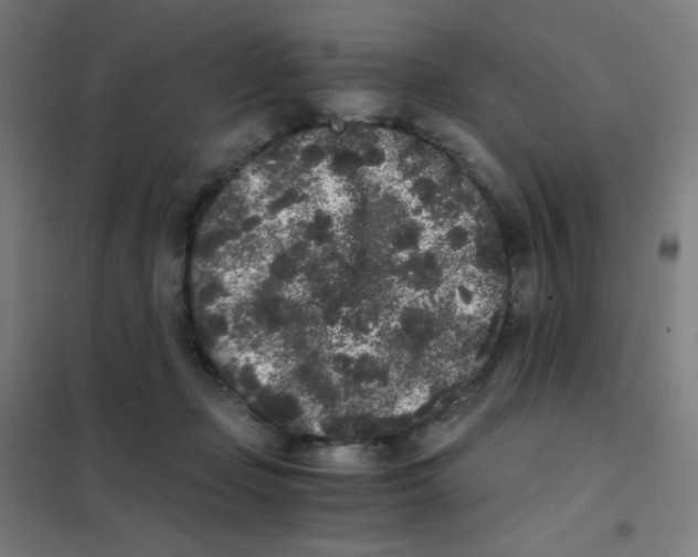 X0000101430365200808041156