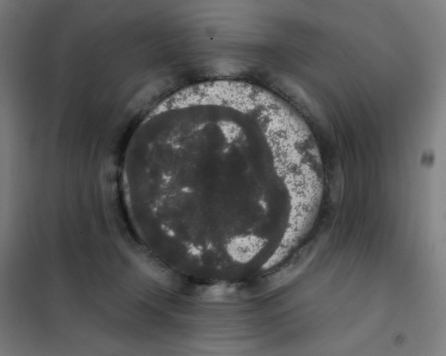 X0000101430366200808041156