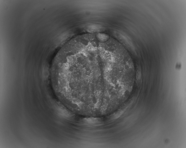 X0000101430367200808041156