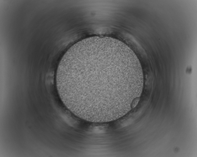 X0000101430368200808041157