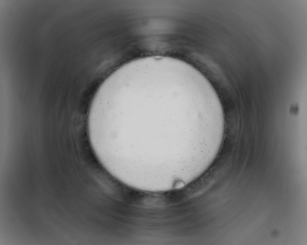 X0000101430369200808041157