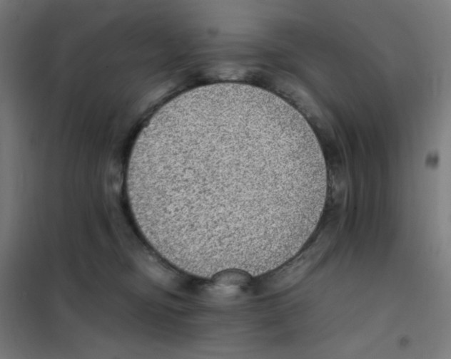 X0000101430374200808041157