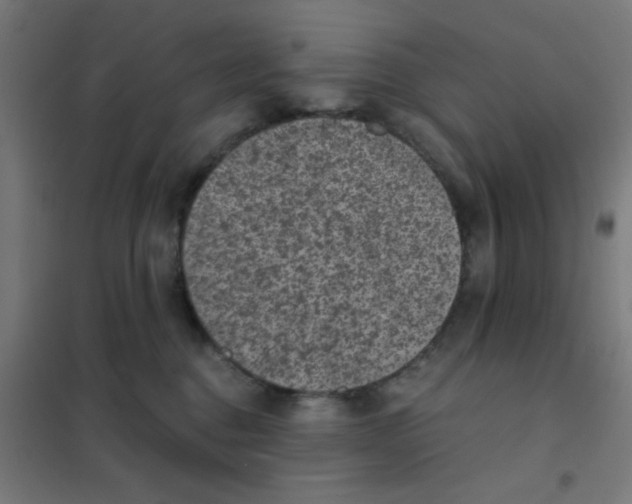 X0000101430376200808041157