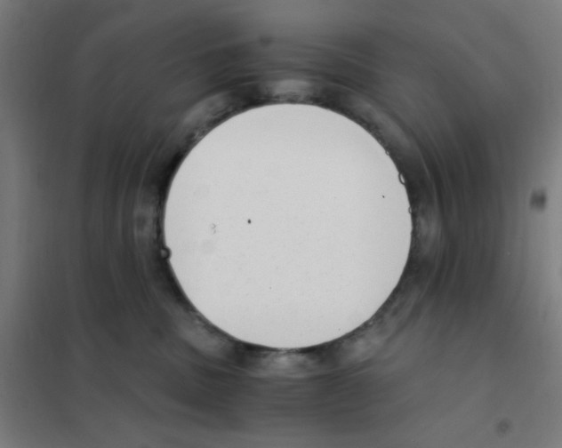 X0000101430379200808041157