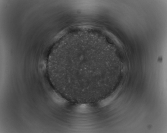 X0000101430382200808041157