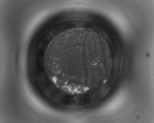 X0000101430383200808041157