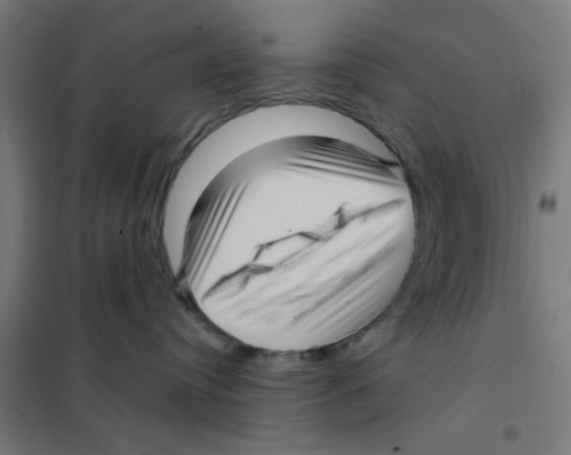 X0000101430384200808041157