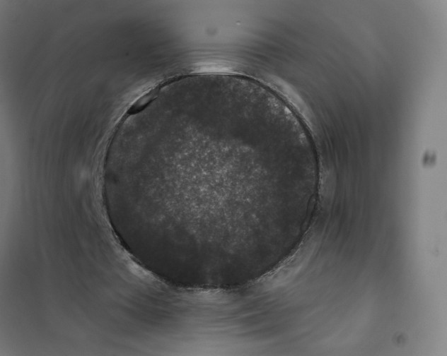 X0000101430385200808041156