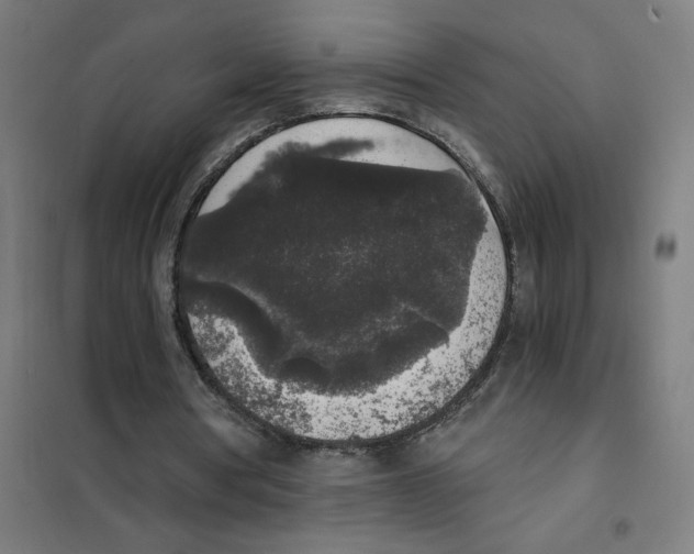 X0000101430386200808041156