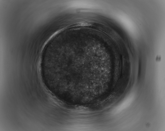 X0000101430387200808041156