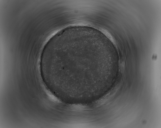 X0000101430389200808041156