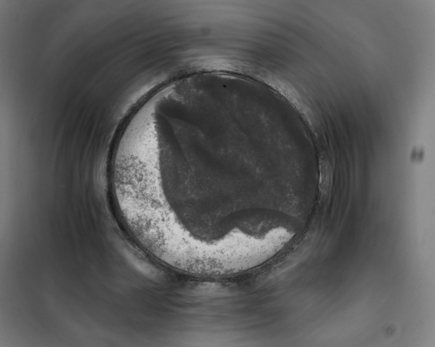 X0000101430390200808041156