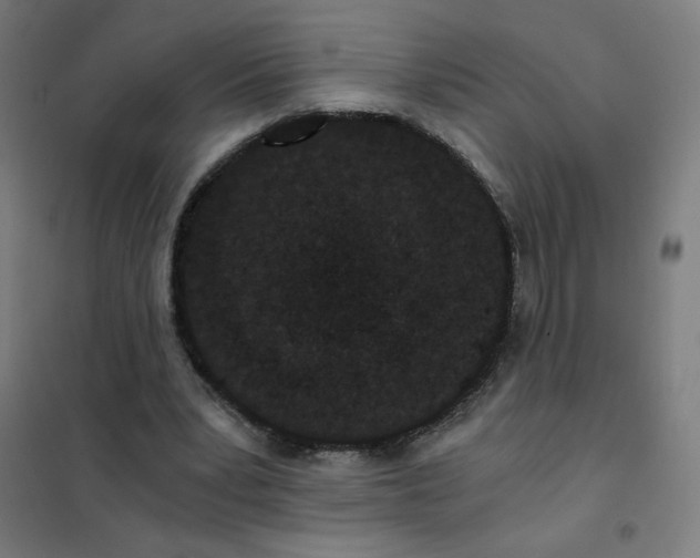 X0000101430391200808041156