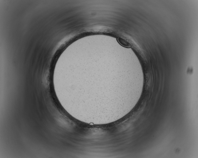 X0000101430392200808041156