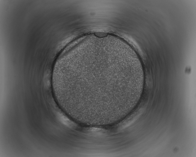 X0000101430393200808041156