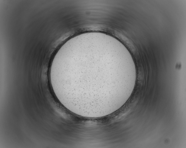 X0000101430394200808041156