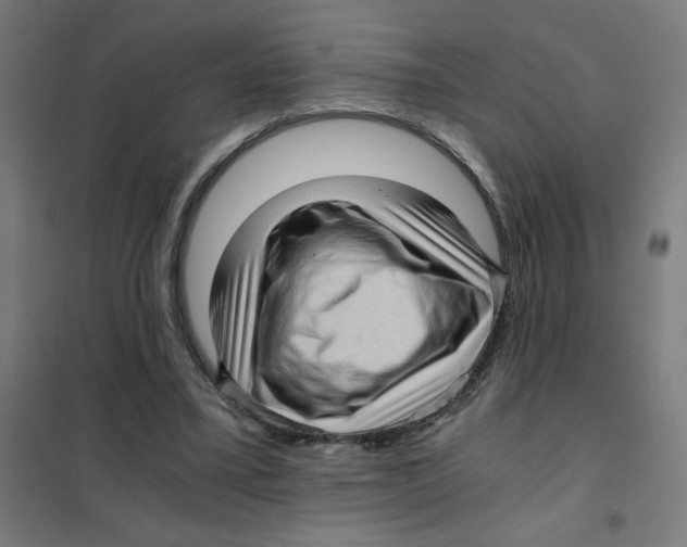 X0000101430395200808041156