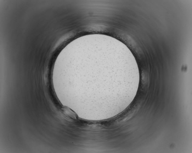 X0000101430396200808041156